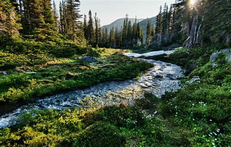 olympic national park washington